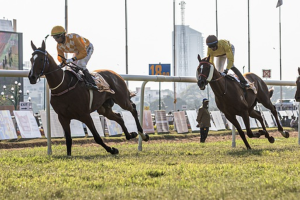 An overview of the 2024 Breeders’ Cup: key dates, locations, and more